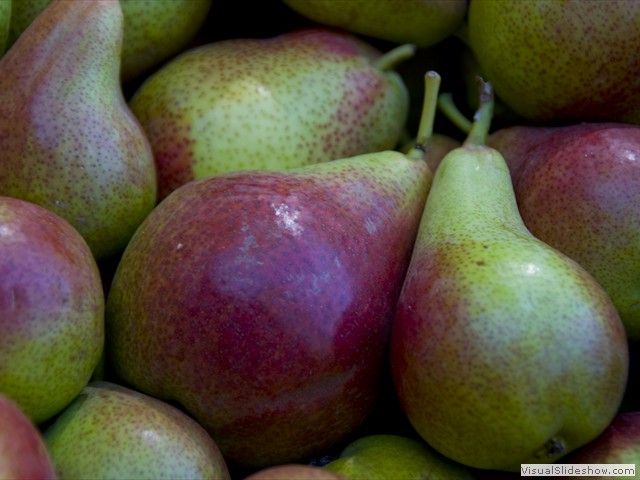 Langdale_orchard190309_001978